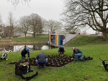 04-03-2021 Aanleg van een anjerperk in het Houtmanplantsoen in Gouda